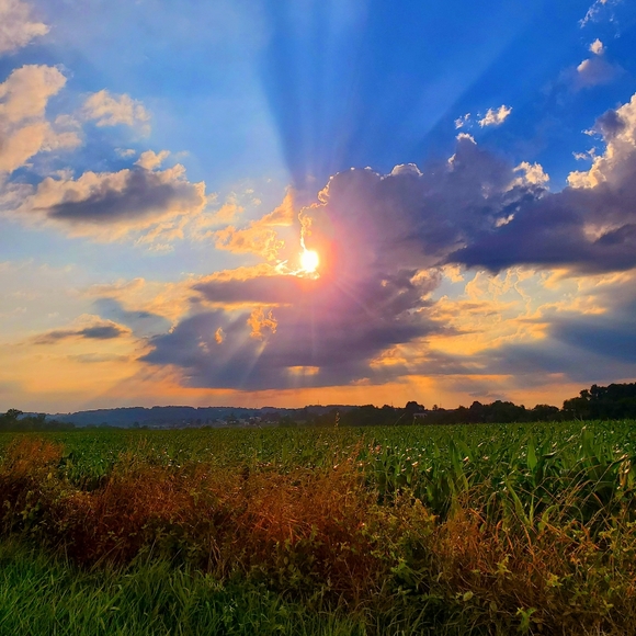 Meet your Posher, Melissa - Picture 3 of 4